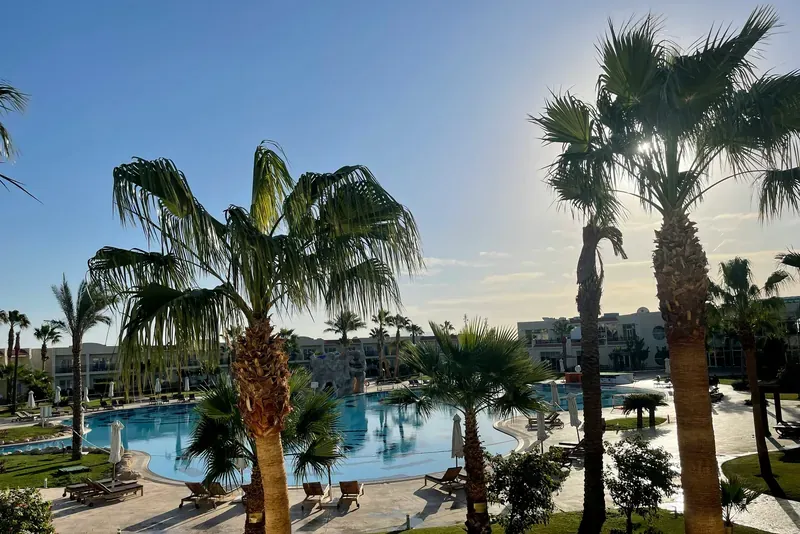 مسبح منتجع تحيط به أشجار النخيل في شرم الشيخ