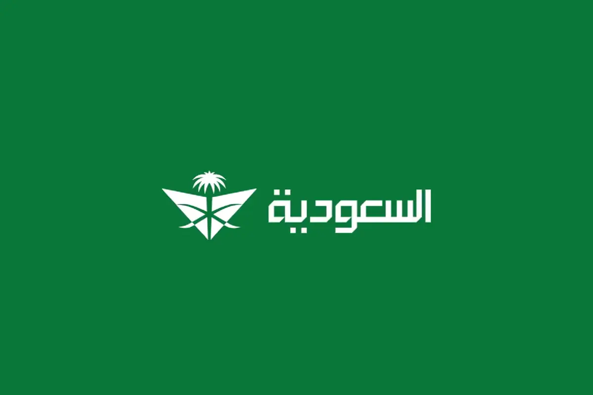 عروض الطيران اليوم الوطني